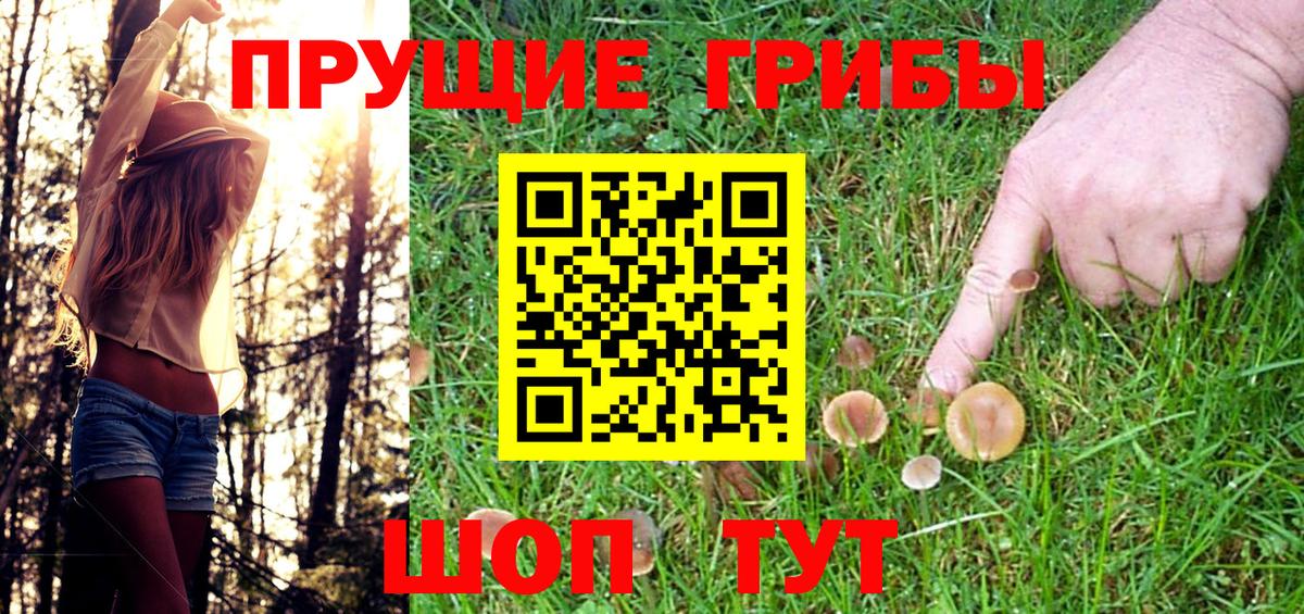 Переславль-Залесский  Псилоцибиновые грибы Psilocybe  Вход с VPN 